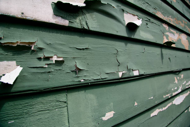 Best Demolition Debris Removal  in Pine Prairie, LA